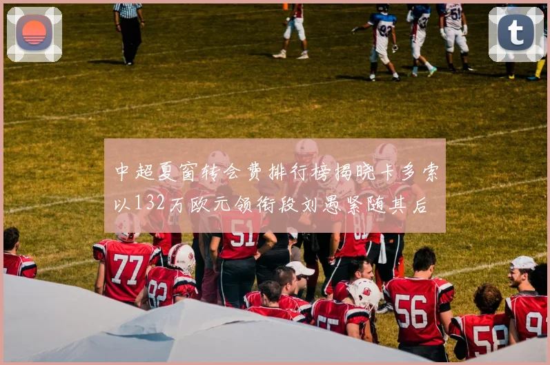 中超夏窗转会费排行榜揭晓卡多索以132万欧元领衔段刘愚紧随其后